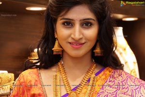 Shamili Sounderajan in Saree