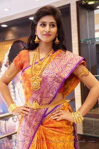 Shamili Sounderajan in Saree