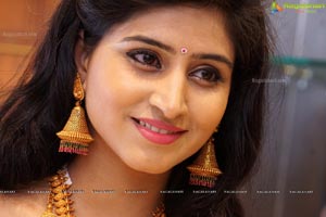 Shamili Sounderajan in Saree