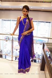 Soumya in Saree