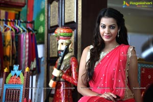 Diksha Panth in Saree