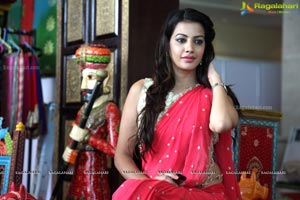 Diksha Panth in Saree