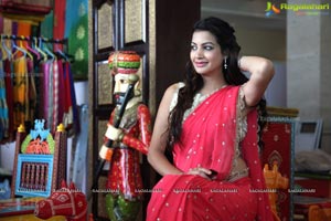 Diksha Panth in Saree