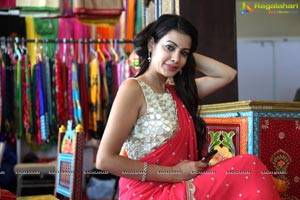 Diksha Panth in Saree