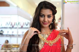 Diksha Panth in Saree