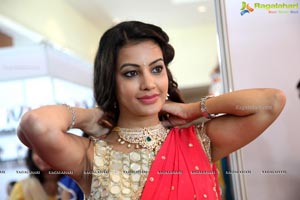 Diksha Panth in Saree