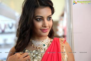 Diksha Panth in Saree