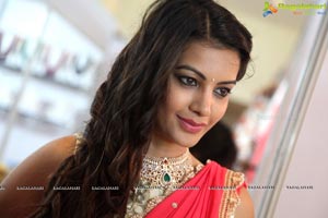 Diksha Panth in Saree