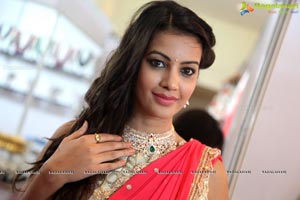 Diksha Panth in Saree