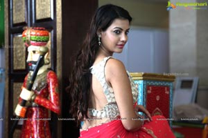 Diksha Panth in Saree