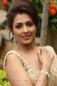 Madhu Shalini