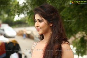 Sonarika Bhadoria