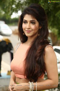 Sonarika Bhadoria