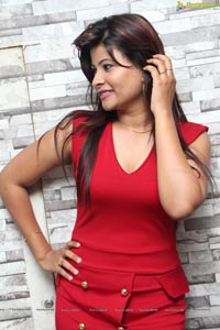 Veena Vijender