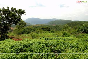 Rama Naidu Film Studios Photo Gallery at Visakhapatnam