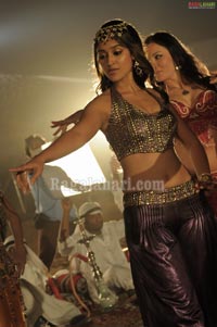 Ileana Spicy Photo Gallery