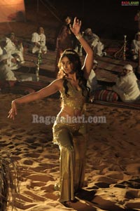 Ileana Spicy Photo Gallery