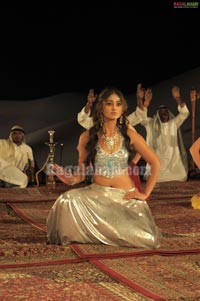 Ileana Spicy Photo Gallery