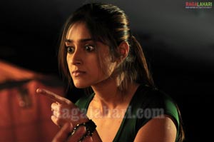 Ileana Spicy Gallery