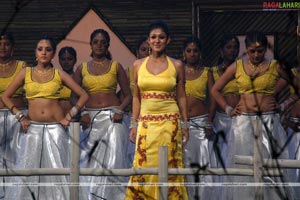 Nayanatara Photo Gallery from Anjaneyulu