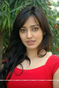 Neha Sharma at Kurradu Audio Release