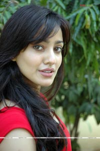 Neha Sharma at Kurradu Audio Release