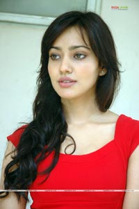 Neha Sharma at Kurradu Audio Release