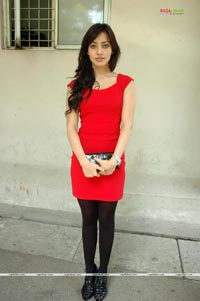 Neha Sharma at Kurradu Audio Release