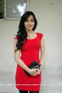 Neha Sharma at Kurradu Audio Release