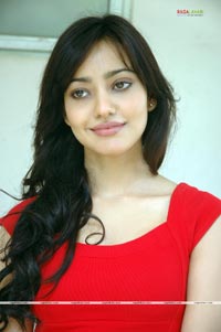 Neha Sharma at Kurradu Audio Release