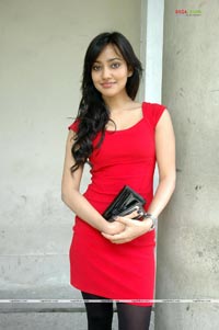 Neha Sharma at Kurradu Audio Release