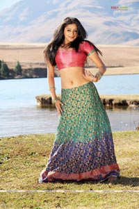 Priyamani Photo Gallery